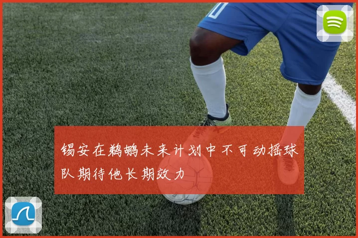 锡安在鹈鹕未来计划中不可动摇球队期待他长期效力
