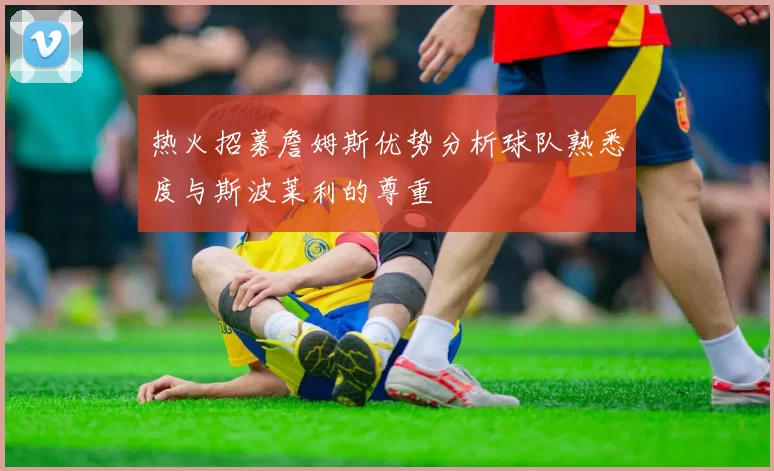 热火招募詹姆斯优势分析球队熟悉度与斯波莱利的尊重